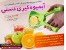 آب میوه گیری دستی