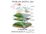 فروش نرم افزارهای Arc GIS Full Pack