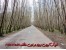 فروش زمین در سواحل بکر پره سر گیسوم
