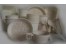 ظروف یکبار مصرف گیاهی