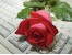 نرم افزار اتوماسیون تالار های پذیرایی