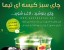 خرید چای سبز کیسه ای تیما