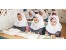 نرم افزار مدیریت یکپارچه مدارس