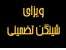 اخذ تضمینی ویزای شینگن فقط با 4000$