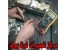 تعمیرات نوت بوک سونی وایو sony vaio