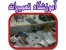 آموزشگاه تعمیر MP3 Player , Mp4 Player