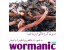فروش کرم خاکی