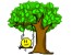 ارائه پرسشنامه