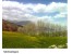 علمی کاربردی