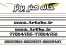 کانون تبلیغاتی خانه هنر برتر