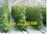 گلخانه ساز/سازنده گلخانه اسپانیای