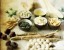 طرح توجیهی تولید داروهای گیاهی