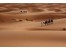 اجرای تور گردشگری کویر منطقه خارتوران