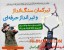 خرید تیر کمان حرفه ای
