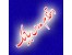 استخدام از تمامی رشته ها