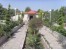 باغچه رؤیایی (تحقق رؤیاهای شما)فرصت استثنائی