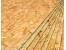 فروش چوب OSB