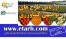 تهیه طرح توجیهی فرآوری و بسته بندی گیاهان داروئی