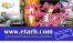 تهیه طرح توجیهی تولید پودر سفید کننده