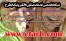 تهیه طرح توجیهی تولید پودر رختشوئی