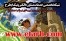 طرح توجیهی جهت اخذ تسهیلات دولتی