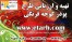 تهیه طرح توجیهی فرآوری گوجه فرنگی