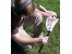 دستگاه فلز یاب metaldetector