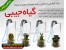 گیاه همراه جیبی
