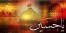 تور سوریه و کربلا زمینی و هوایی