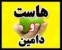 هاست و دامنه