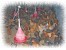 فروش تعدادی مرغ و خروس رسمی و زینتی در قم