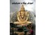 فیلم آموزش یوگا برای مبتدیان Cameron Shayne Budokon for yoga Beginners