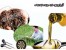 فرآوری کرم،روده شوری کرم ، روغن گیری کرم ورمی کمپوست،خشک کن کرم