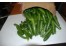 فروش بذر گلخانه ای نفس