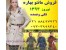 آغاز پخش مانتو بهاره نوروز 94 با تخفیف ویژه