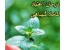 داروی ترک اعتیاد