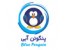 فروش ویژه نرم افزار حسابداری پنگوئن آبی نسخه پایه