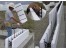 تولید قالب های ماندگار Insulating Concrete Formwork) ICF)
