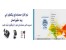 نرم افزار حسابداری پنگوئن آبی نسخه پیشرفته