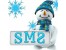 sms