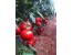 بذر گوجه فرنگی گلخانه ای یکره