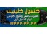 تعمیرات فوق تخصصی کنسولهای بازی