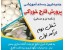 خود اشتغالی از طریق تولید قارچ