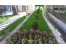 شرکت آوای حریر سبز