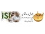 پذیرش و چاپ مقالات علمی پژوهشی در روانشناسی