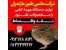 فروش ویژه دان و پلت به صورت عمده و جزیی قیمت ارزان