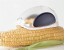 ذرت دون کن Corn Stripper