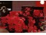 کالای خواب رویال
