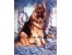 فروش ژرمن شپهرد موبلند , فروش سگ ژرمن شپهرد, German Shepherd