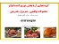 اخذ نمایندگی فعال جهت عرضه انواع محصولات بوقلمون , شترمرغ , بلدرچین